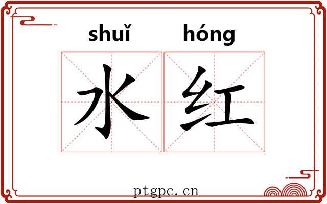 水红 水红