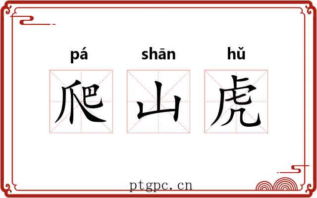 爬山虎