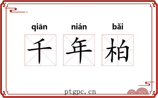 千年柏 千年柏