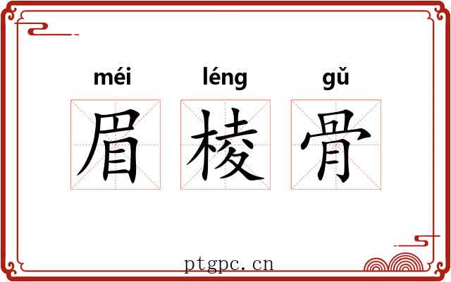 眉棱骨 眉棱骨