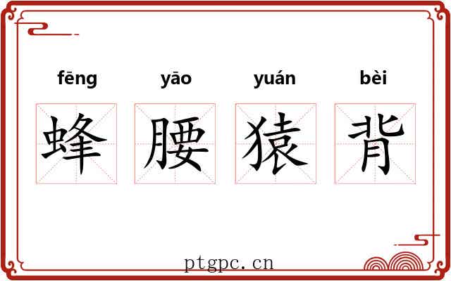 蜂腰猿背 蜂腰猿背