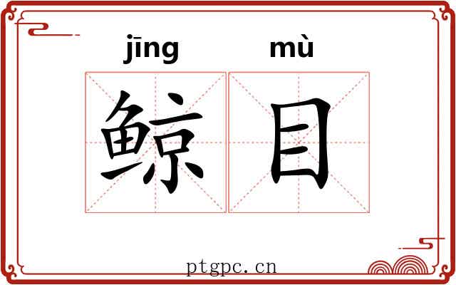 鲸目 鲸目