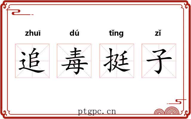 追毒挺子 追毒挺子