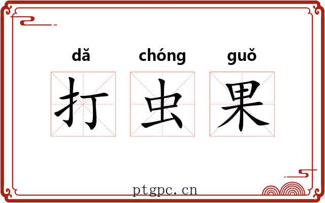 打虫果 打虫果