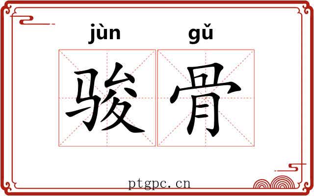 骏骨 骏骨