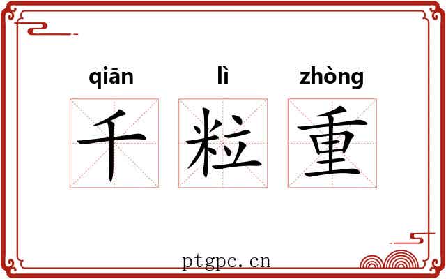 千粒重 千粒重