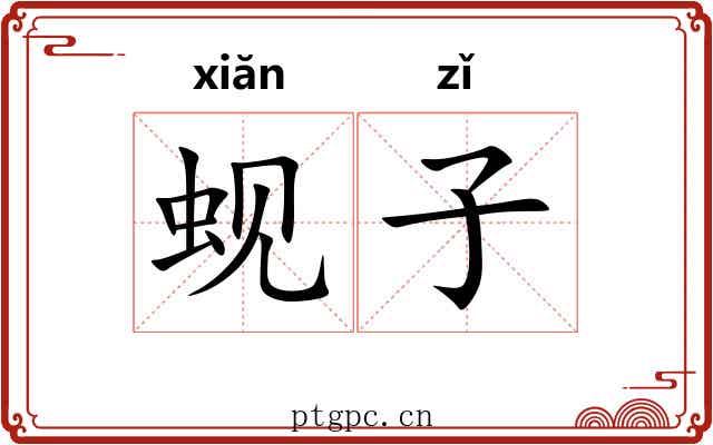 蚬子 蚬子