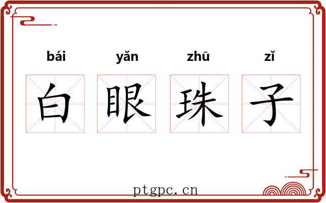 白眼珠子