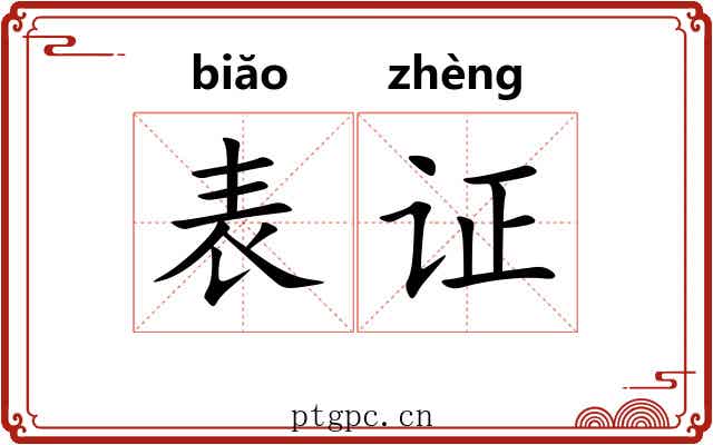 表证 表证