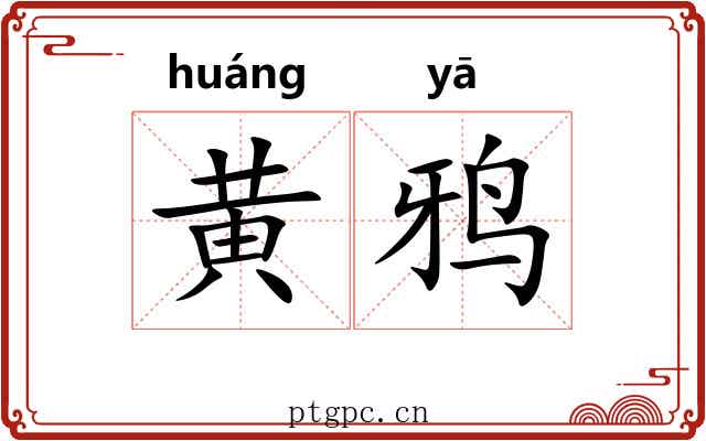 黄鸦