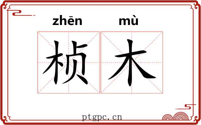 桢木