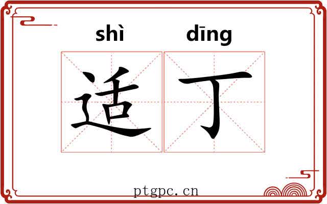 适丁