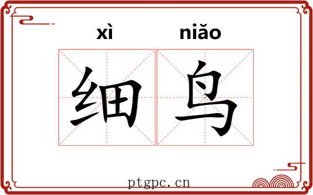 细鸟