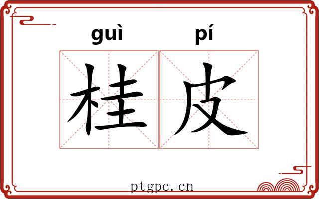 桂皮 桂皮
