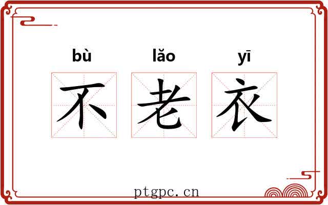 不老衣