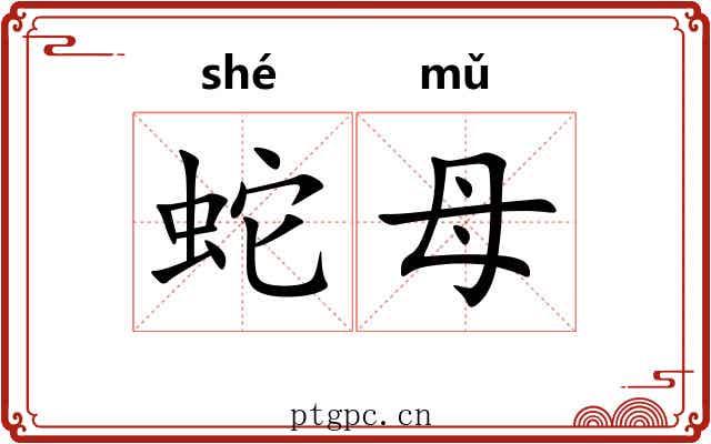 蛇母