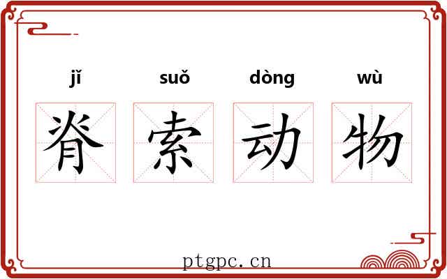 脊索动物 脊索动物