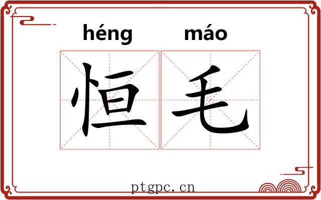 恒毛