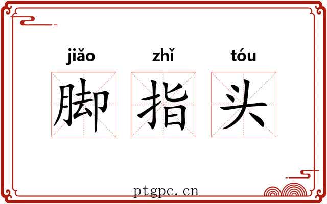 脚指头