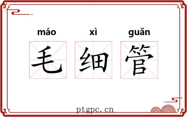 毛细管