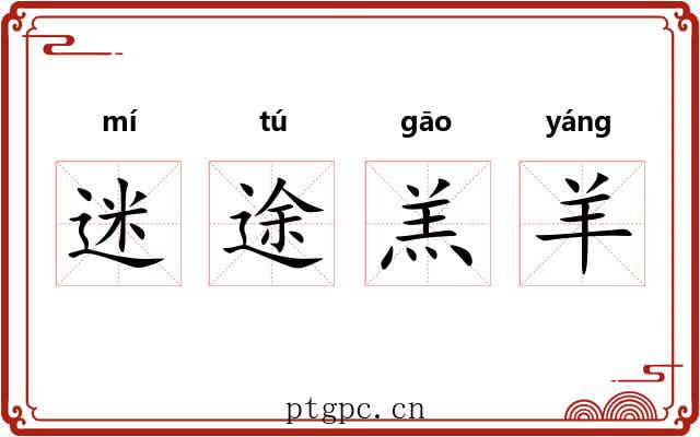 迷途羔羊 迷途羔羊