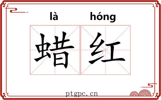 蜡红 蜡红