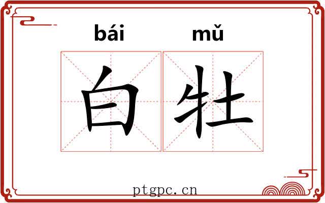 白牡