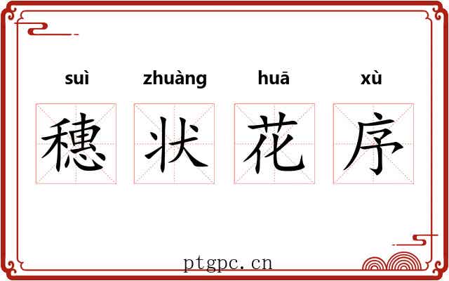 穗状花序 穗状花序