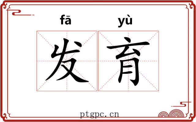 发育 发育