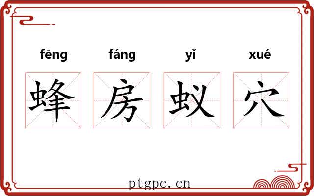 蜂房蚁穴 蜂房蚁穴