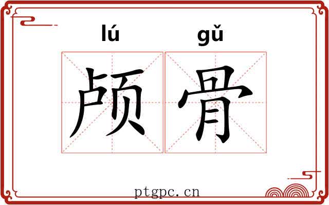 颅骨 颅骨