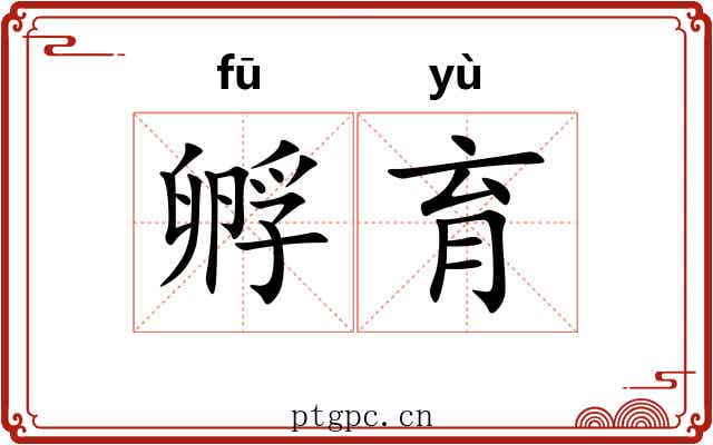 孵育
