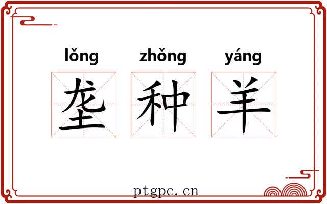 垄种羊 垄种羊