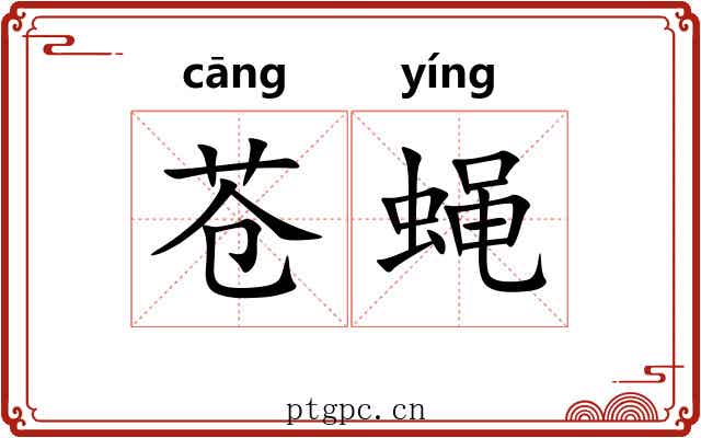 苍蝇