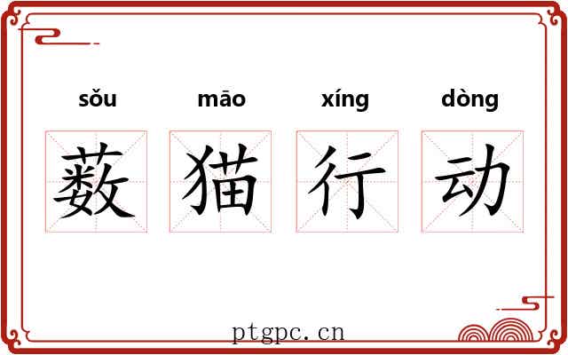 薮猫行动 薮猫行动
