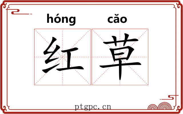 红草 红草
