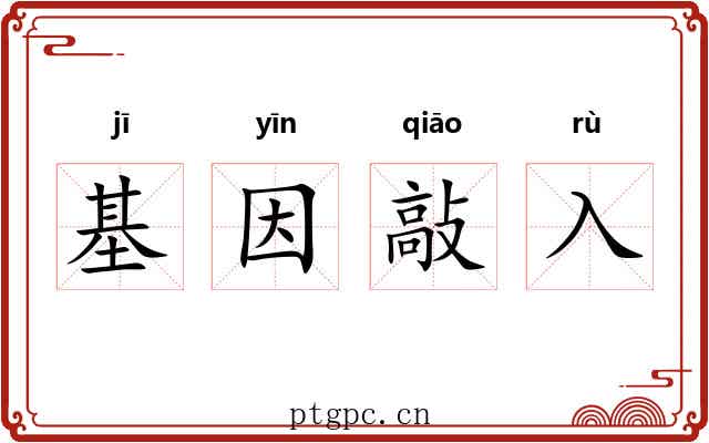 基因敲入 基因敲入