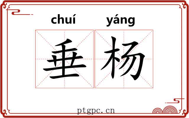 垂杨