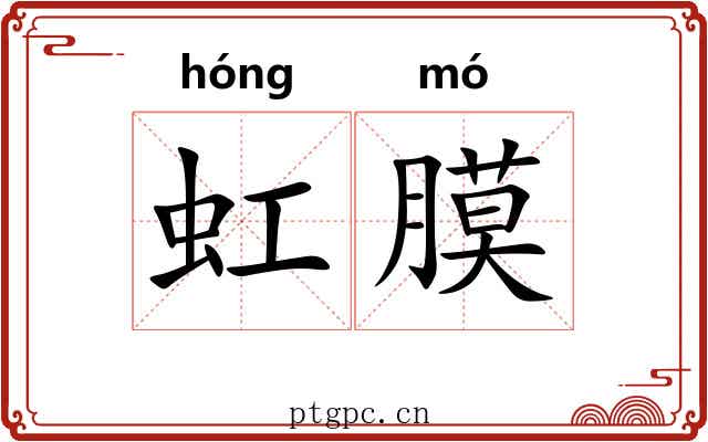 虹膜