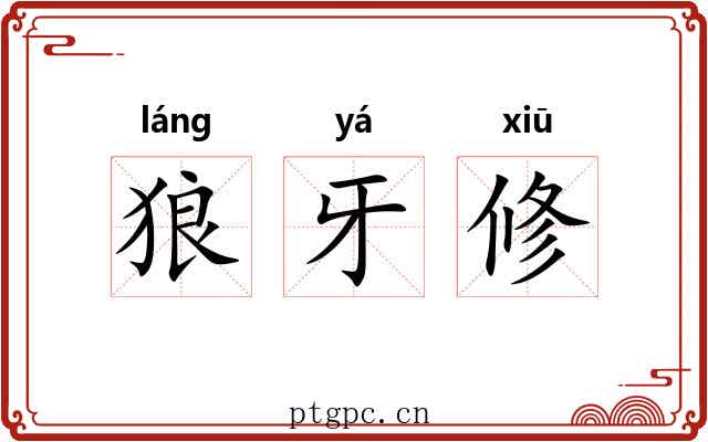 狼牙修 狼牙修