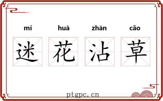 迷花沾草 迷花沾草