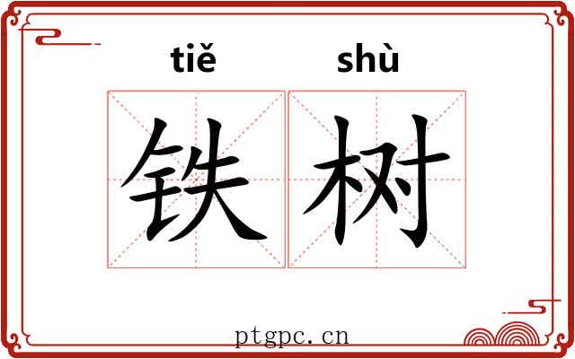 铁树 铁树