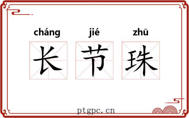 长节珠