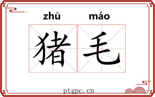 猪毛