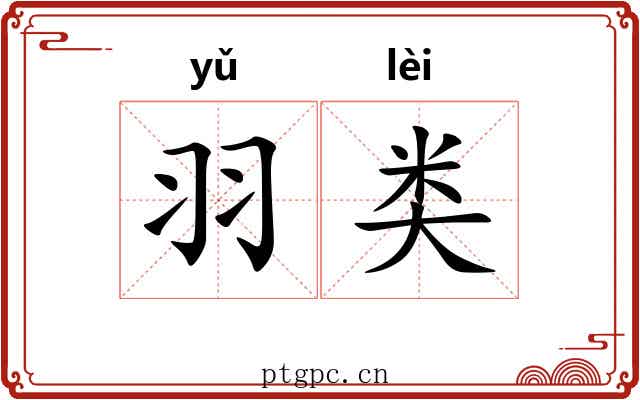 羽类