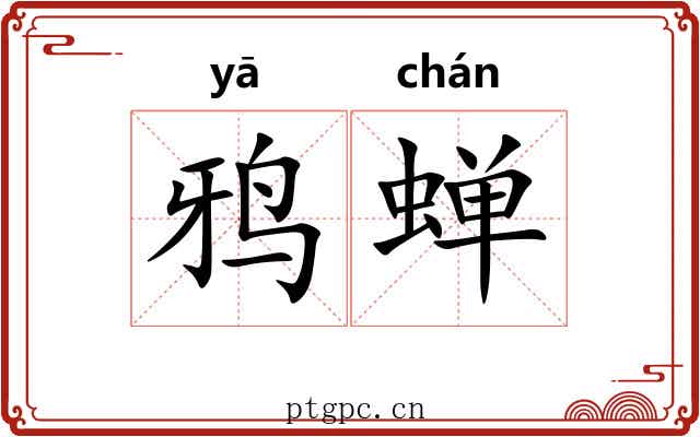 鸦蝉