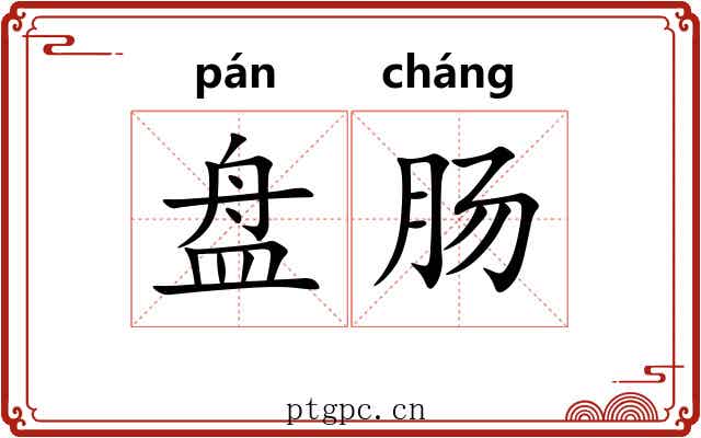 盘肠 盘肠