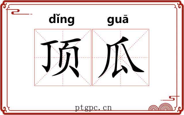 顶瓜 顶瓜