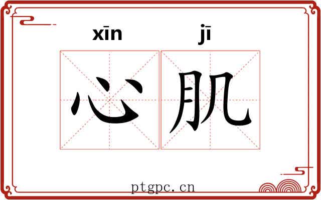 心肌