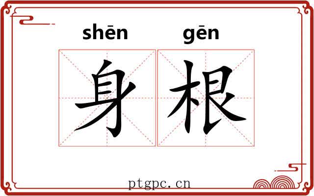 身根 身根